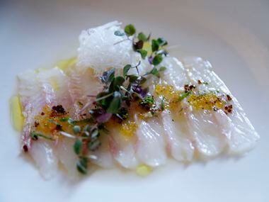 Hirame usuzukuri -- thinly sliced flounder sashimi with candied quinoa and olive oil -- is...