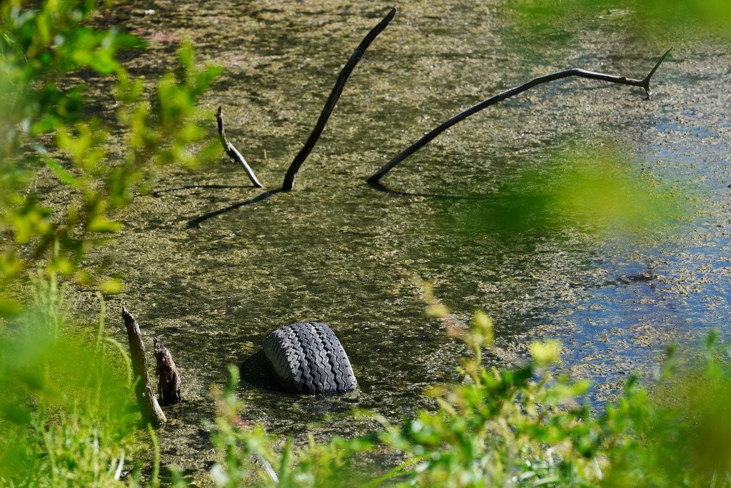A tire peeking out of the water at Hines Park, down because of extreme drought, shows the...
