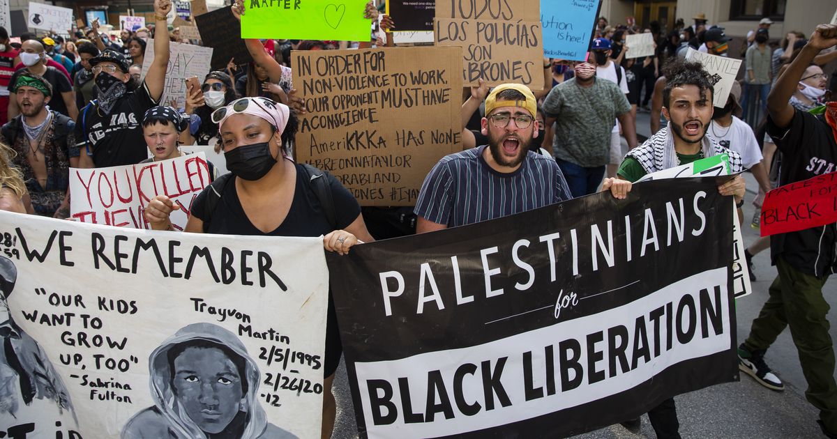 Finding common ground in human rights, pro-Palestinian activists build ...