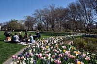 A family enjoyed a picnic on a sunny day alongside a bed of flowers during last year's...