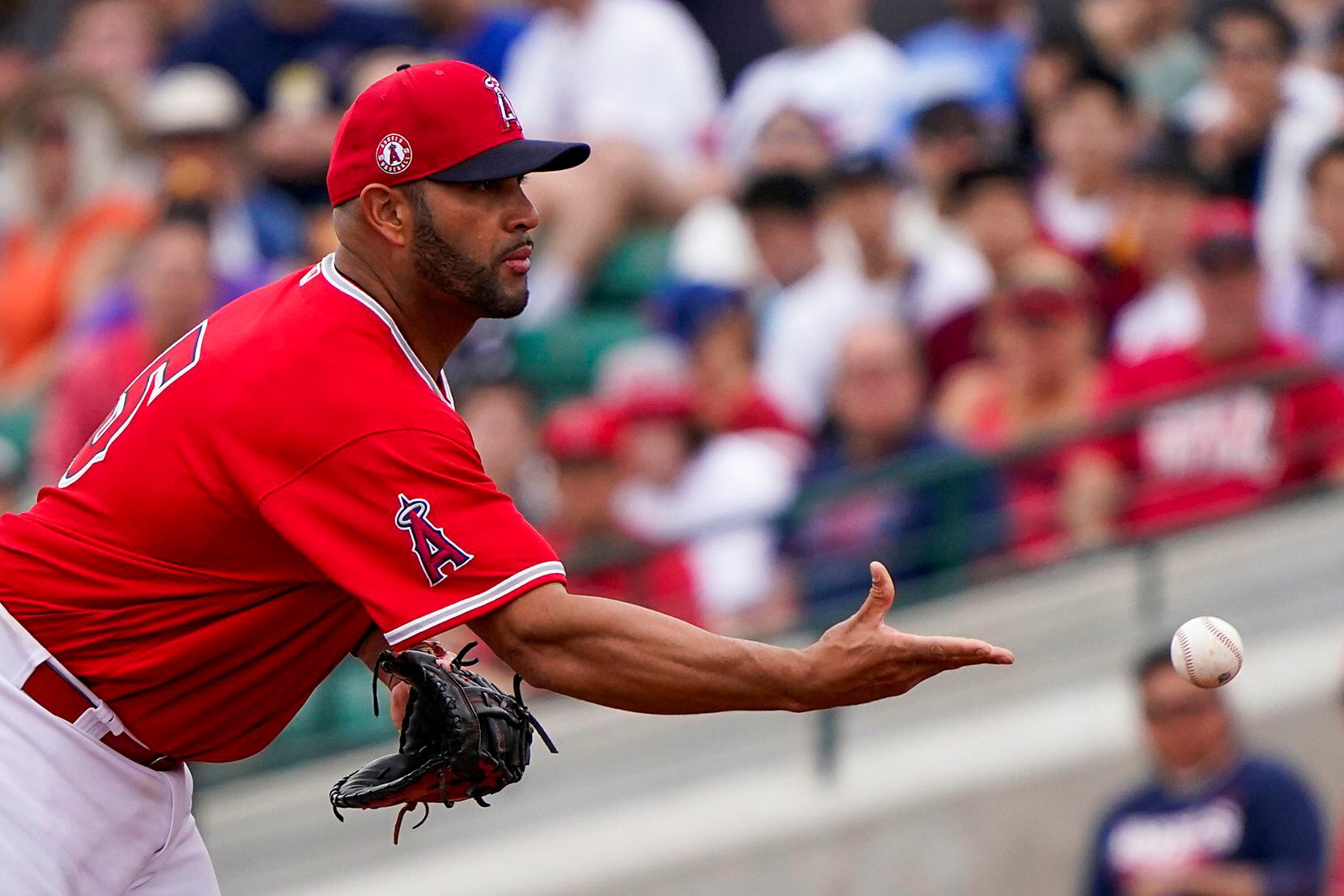 Los Angeles Angels first baseman Albert Pujols tosses to first to get Texas Rangers...