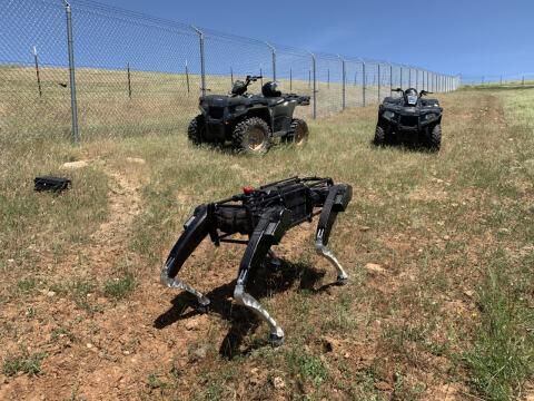 Desarrollan perros robóticos para controlar la frontera con México