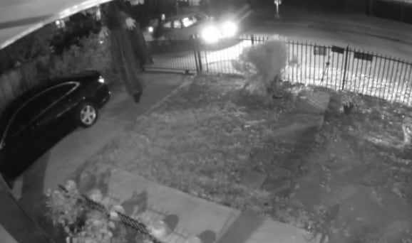 Una imagen de un video revelado por la policía de Dallas en conexión con el asesinato de un...