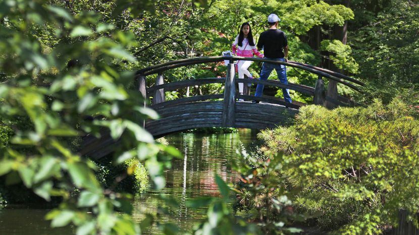 are dogs allowed in japanese gardens