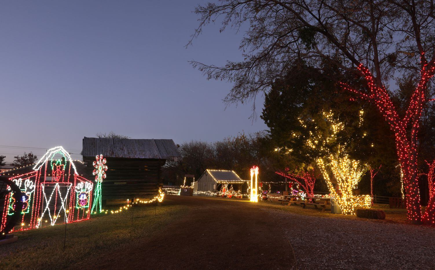 Heritage Farmstead Museum's Lights on the Farm in Plano includes more than a million lights along a quarter-mile trail with a 20-foot-tall Christmas tree and animated displays.
