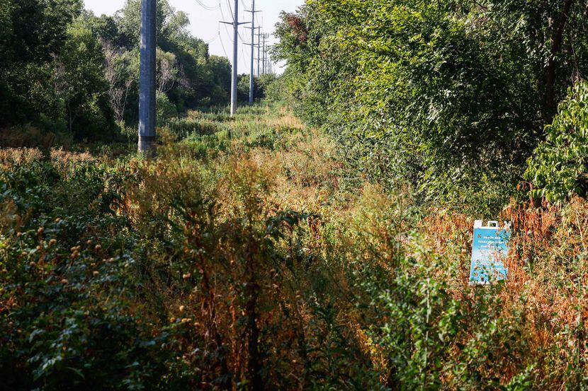 Much of the 3 acres of Oncor right of way, which was clear-cut and mulched in October 2020,...