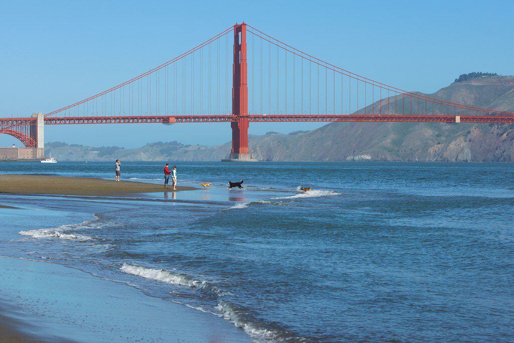 Crissy Field Beach offers impressive views of the Golden Gate Bridge. A staircase connects...
