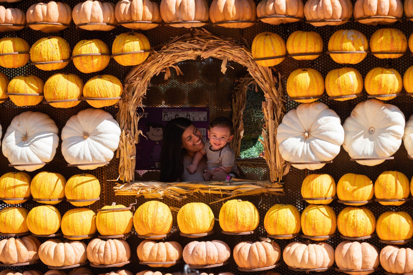 Pumpkin-Pop-Play, your school's ultimate Halloween day guide!