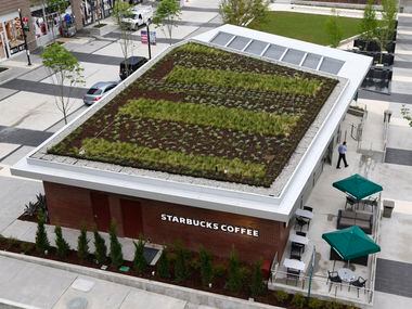 Thre's a rooftop garden  at the new Starbucks.