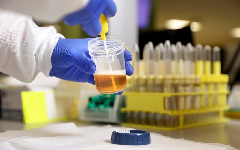Urine is transferred from a sample cup to a testing vial to be tested for fentanyl in the...