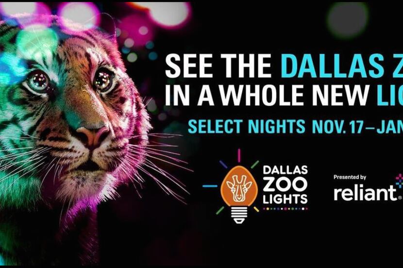 El Dallas Zoo Lights debuta el 17 de noviembre (INSTAGRAM).
