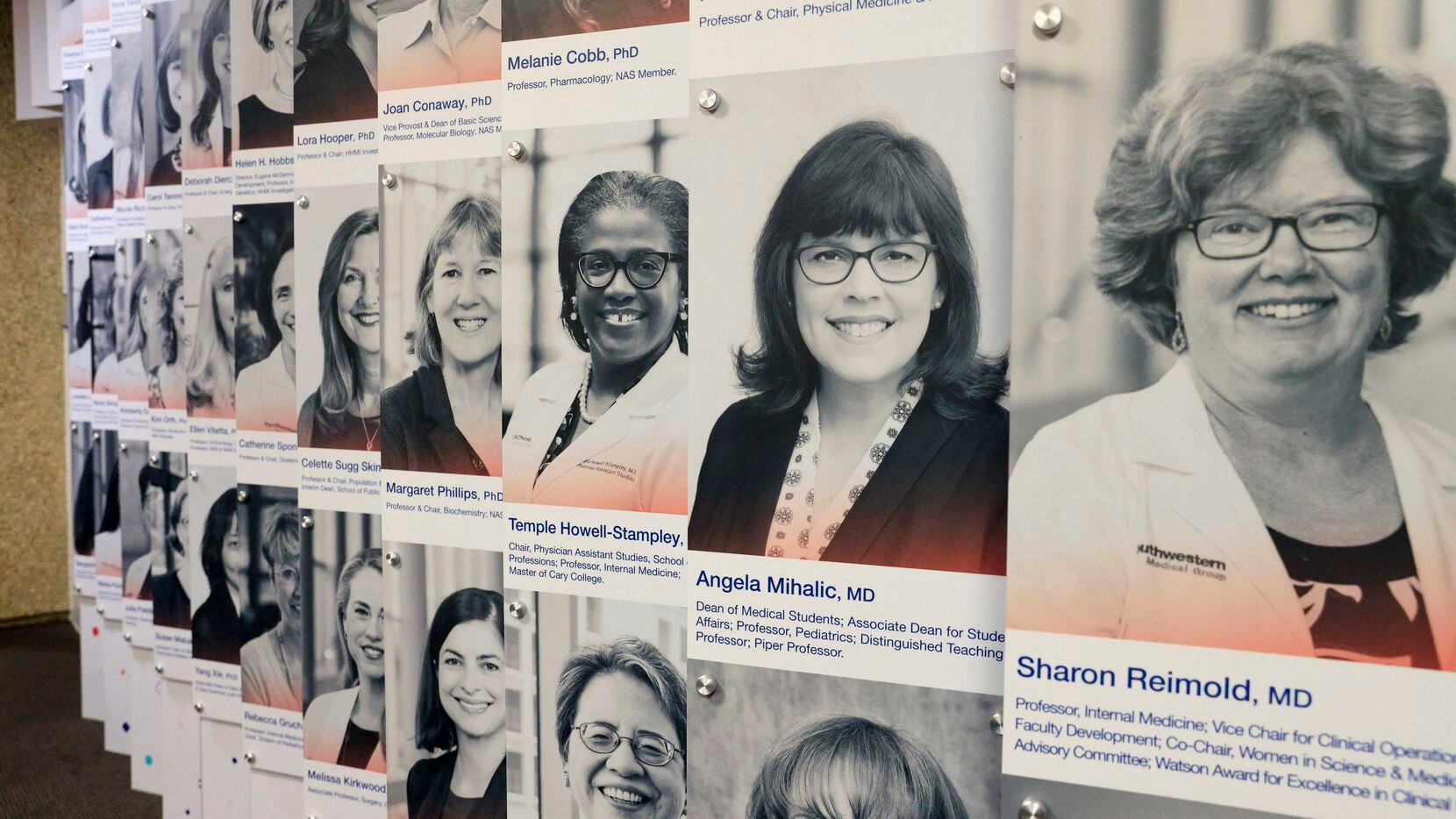 A display celebrating female leaders in STEM pictured on the UT Southwestern south campus in...