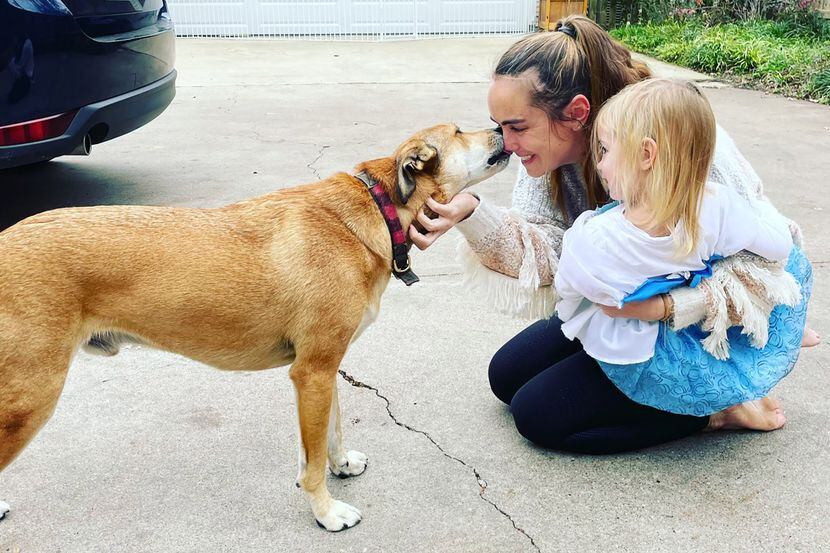 A Girl's Best Friend Dog Collar – taudrey