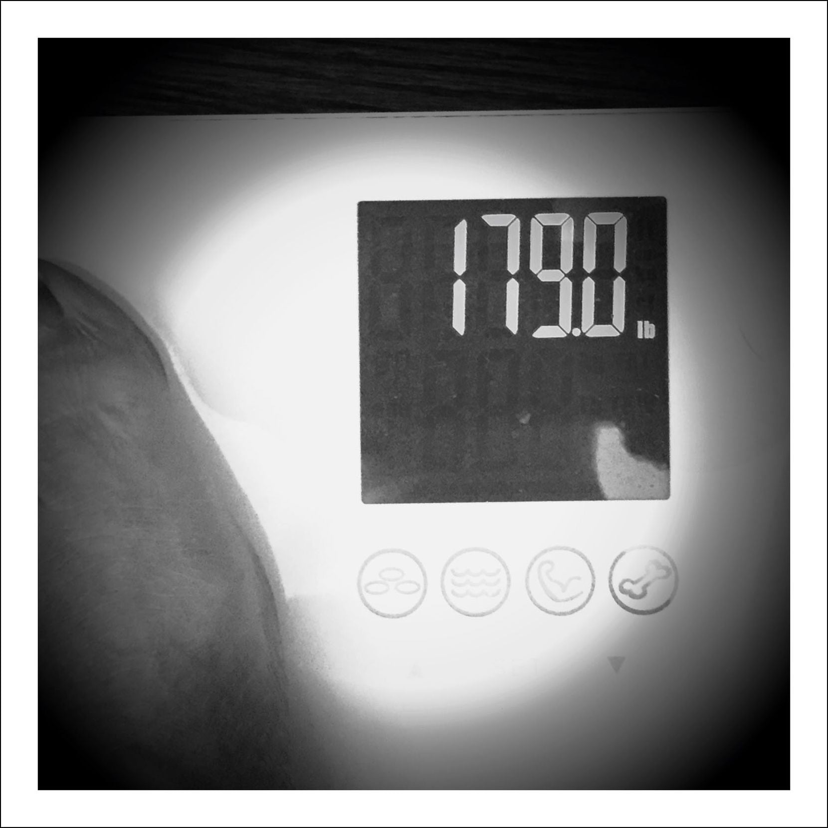 9/11/16 — 179 pounds I believe I maxed out at about 230 in Baton Rouge in 1990 or so. I...