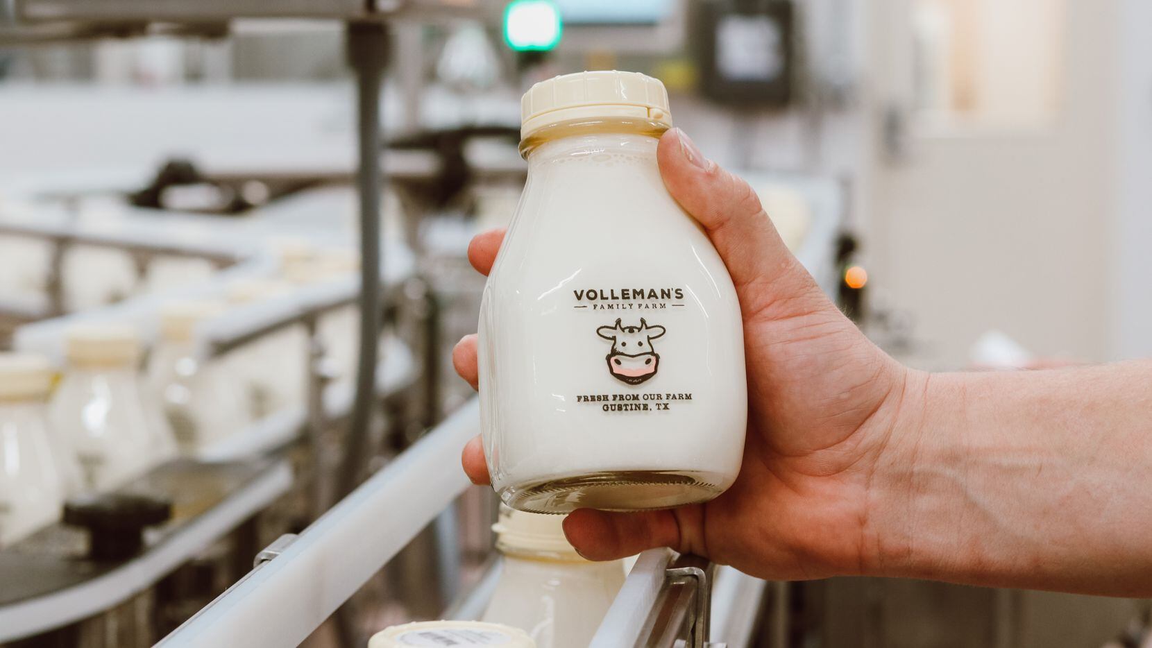 Central Market - If you drink cow's milk, then Volleman's Family