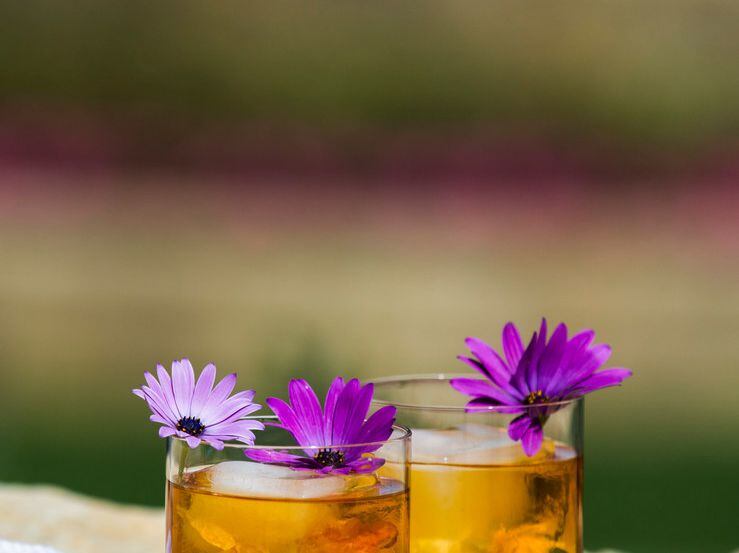 7 Edible Flowers to Elevate Your Cocktail Creations - Article onThursd