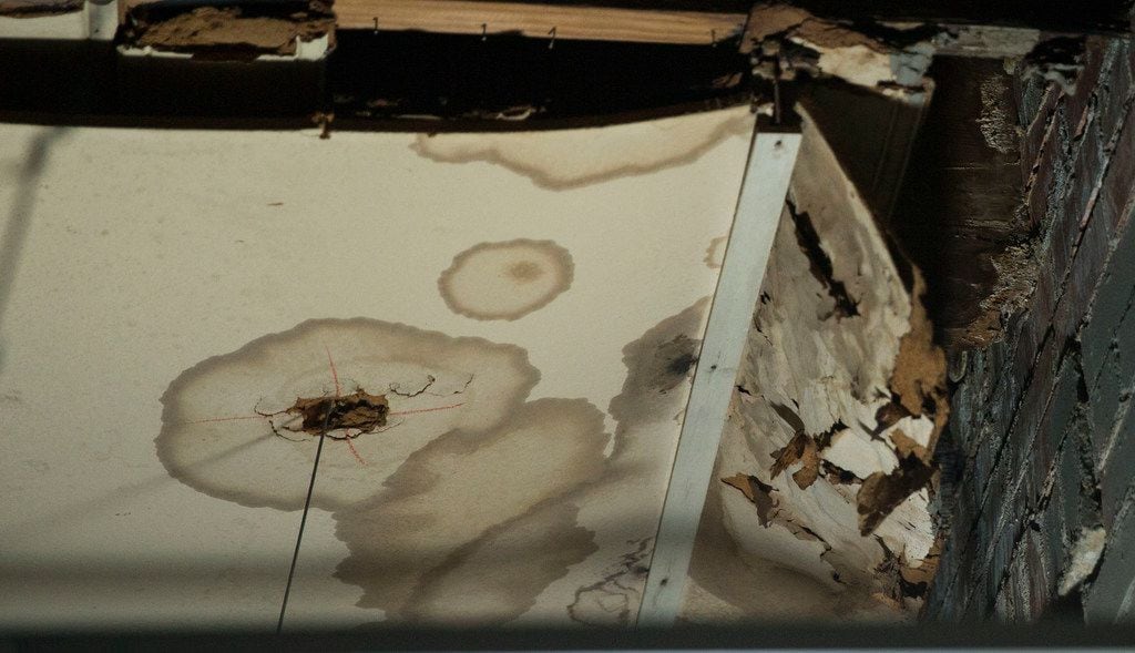 Water damage caused from the leaking roof at the Bataan Community Center in Dallas on Feb. 25, 2019. With its leaking roof and mold, the center can't serve the community as it has for more than 50 years. 