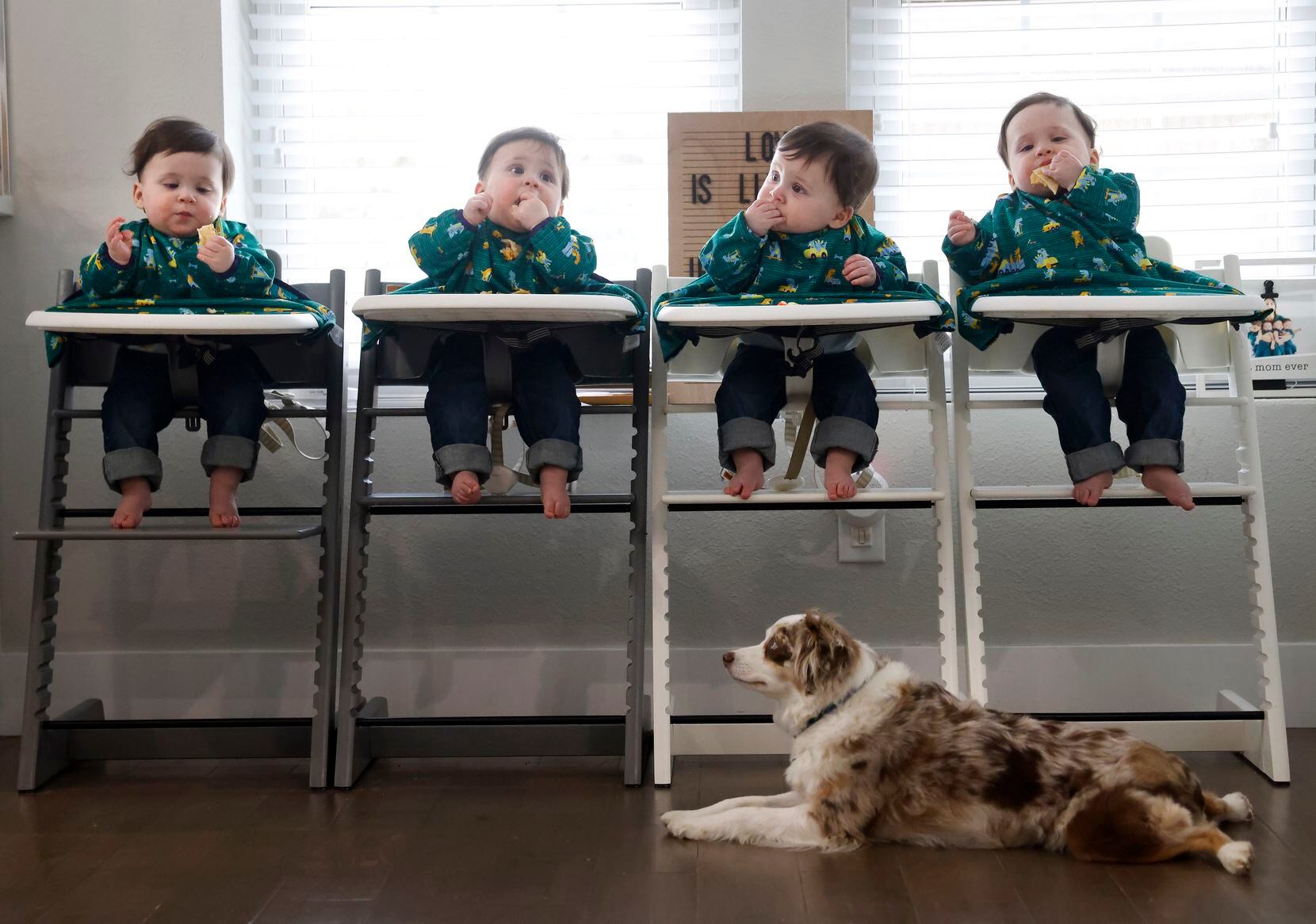 Harrison, Hardy, Henry and Hudson Marr had lunch in February as the family dog, Zeke, awaited “treats” to rain down from above.