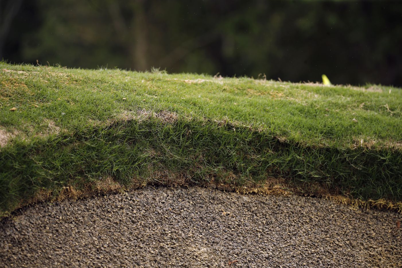 A revetted bunker, partially created by stacking sod on one of the bunkers on the East...