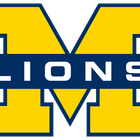 Lions Logo