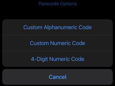 These options appear on the page where you set your iOS passcode.
