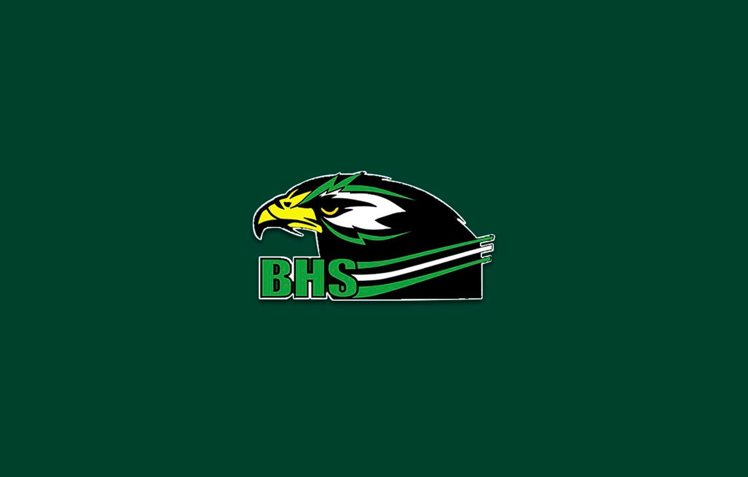Birdville logo.