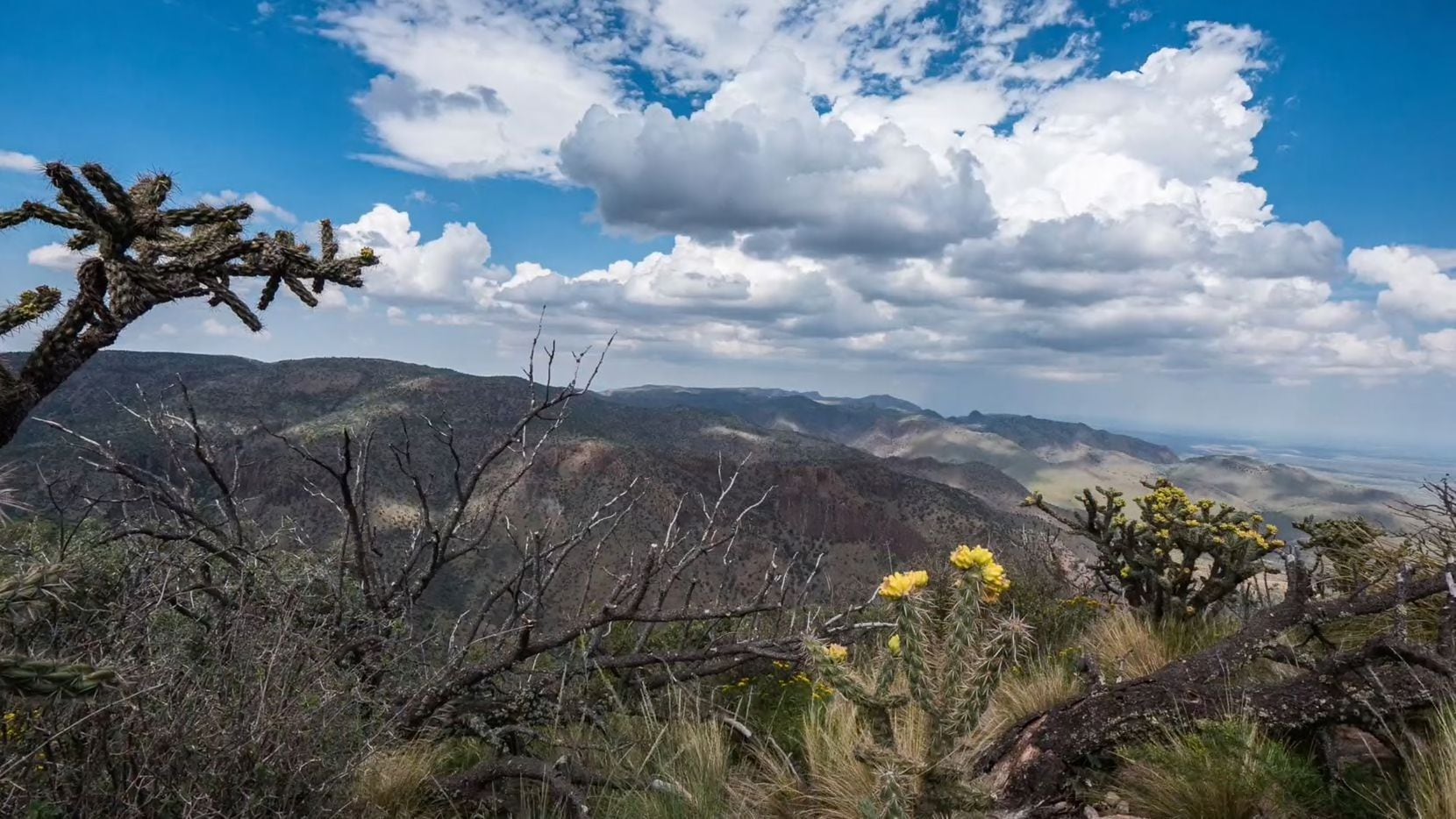The 7,700-acre Fox Canyon Ranch is in the Davis Mountains of West Texas.