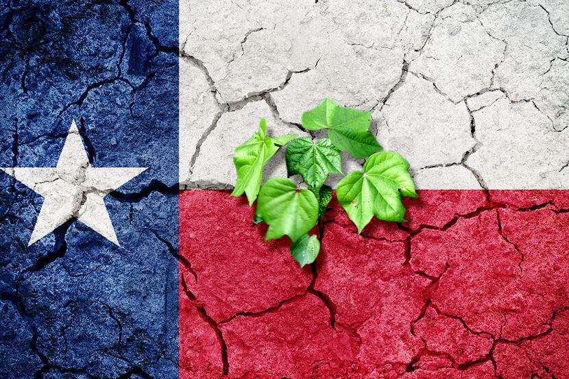 Flag of Texas on dry earth ground texture background