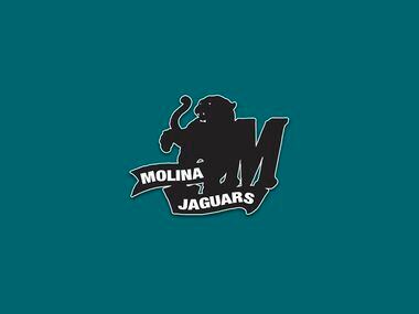 Molina logo.