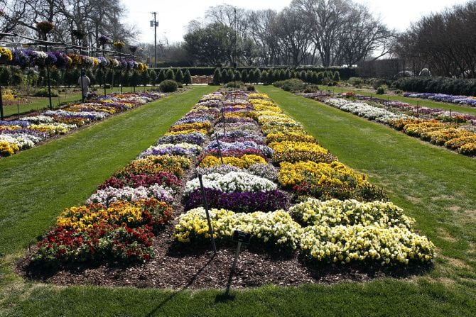 Dallas Arboretum event is blooming with inspiration