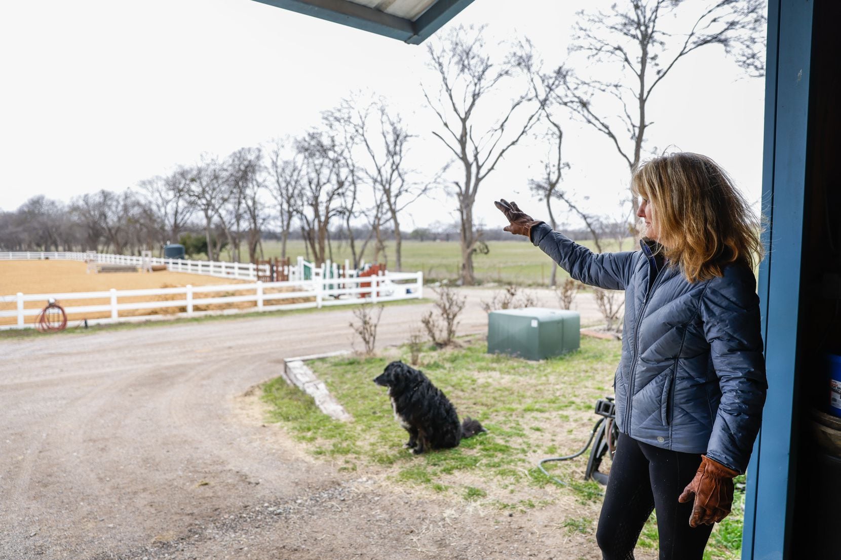 Karen Smith, owner of Tara Royal Equestrian Center, at her ranch in McKinney on Feb. 24. The...