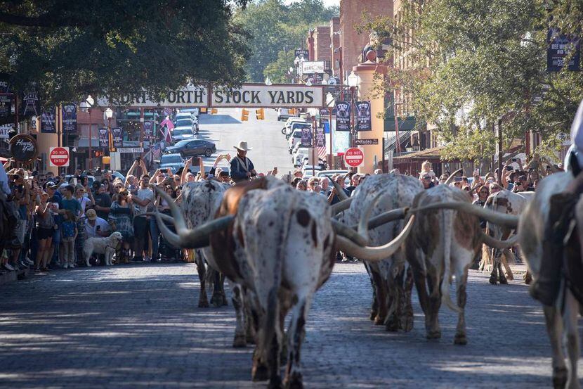 People line up to watch the morning cattle drive at the Stockyards Station in Fort Worth.