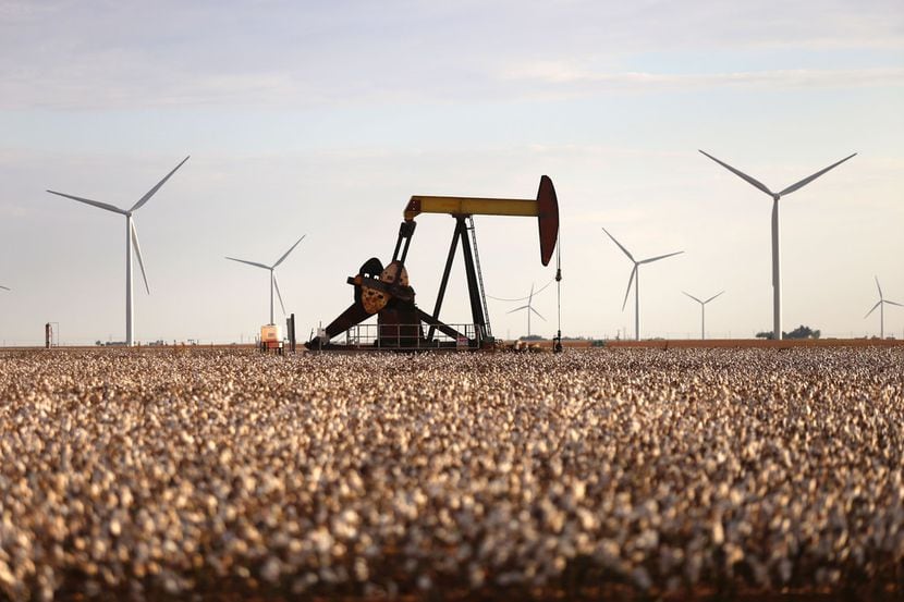 Pump jacks and wind turbines are visible inside of a cotton field near Lamesa, Texas.