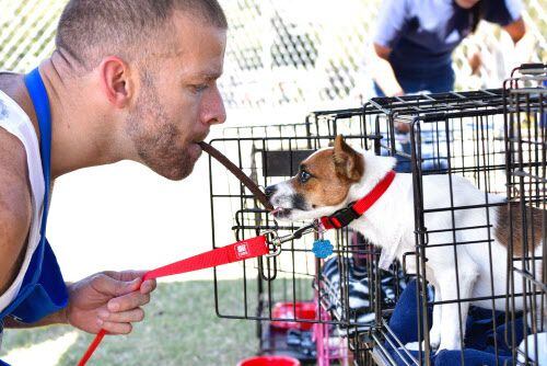 Richard López, de Servicios Animales de Dallas, da un dulce a un perrito llamado Mojo...