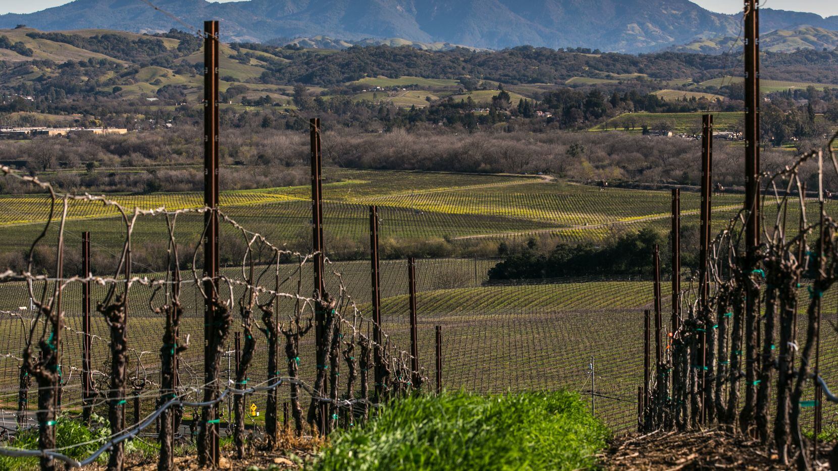 The inaugural Healdsburg Wine & Food Experience in California in May 2022 will highlight...