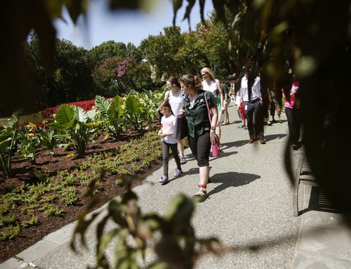 Un grupo de especialistas del jardín botánico de Dallas les dan un tour a unos niños durante...
