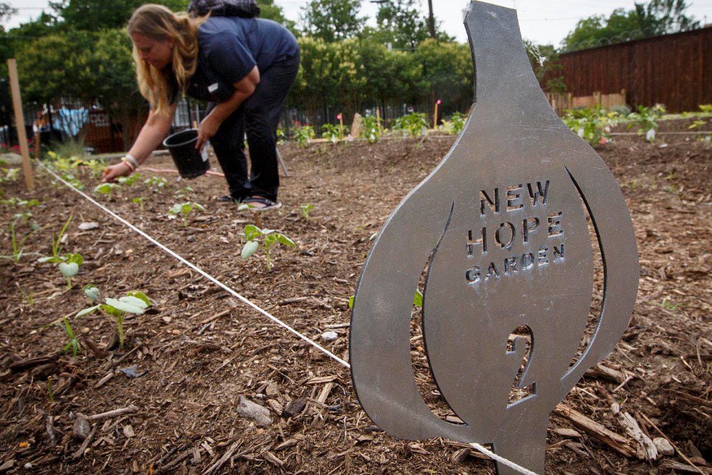 Rochelle Austin from Austin Street Center's Sisterhood pulls weeds in the New Hope Garden.