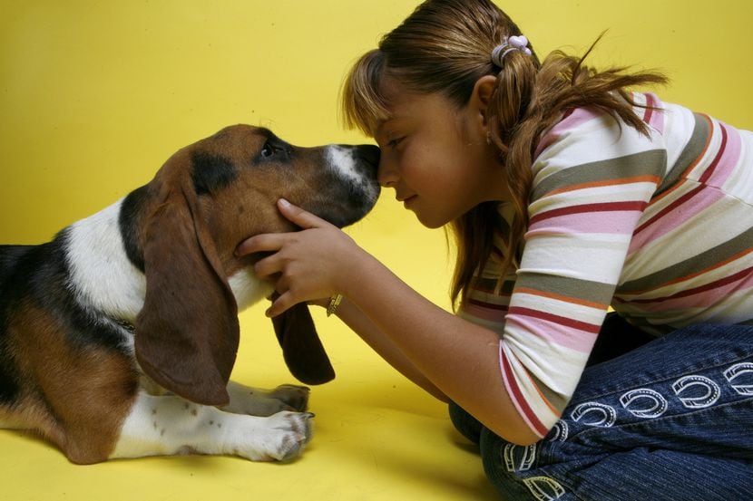 Tener un perro y abrazarlo “es una forma segura de reducir el estrés”, asegura un estudio de...