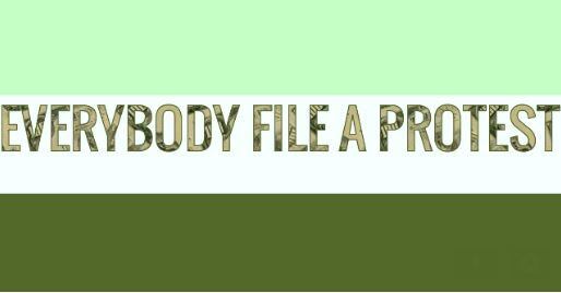 The Watchdog's "Everybody File A Protest" campaign has its own virtual flag. Green, for...