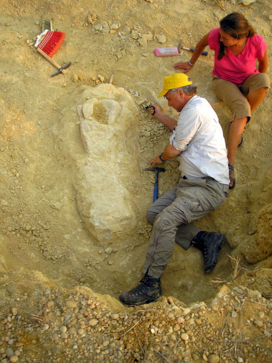 Louis Jacobs and Nancy Stevens excavate part of a fossilized dinosaur in Angola. The...