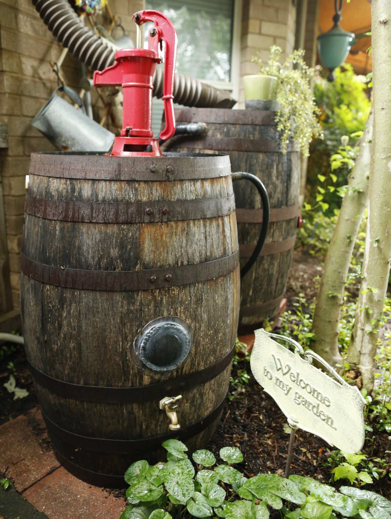 Rain barrels with a working pump in a Carrollton garden.