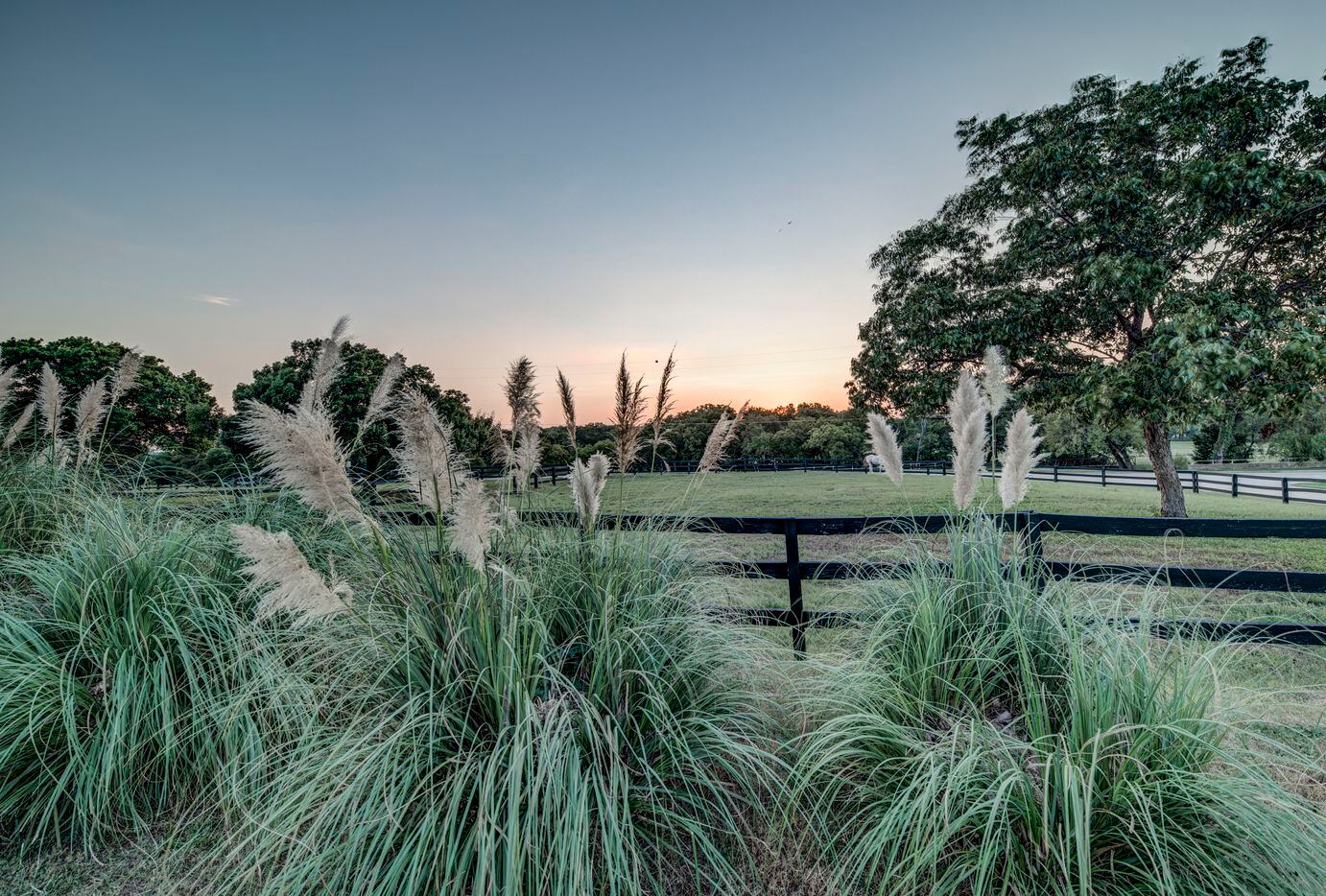 A look at the equine estate at 3800 Ranch Estates Drive, in Plano.