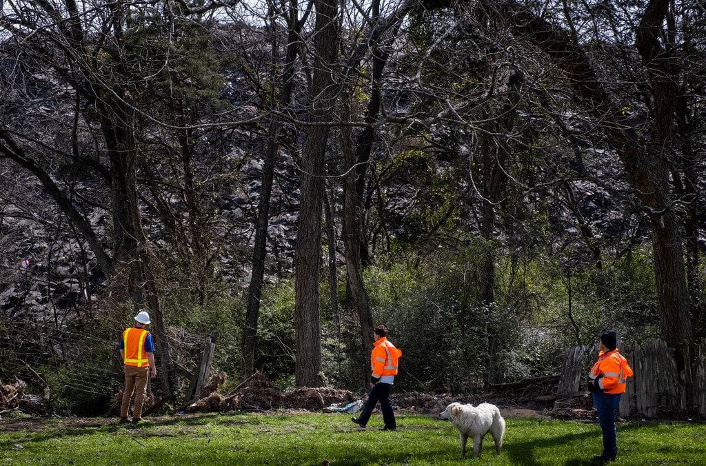 City of Dallas inspectors, along with a neighborhood dog, survey the mountain of shingles at...