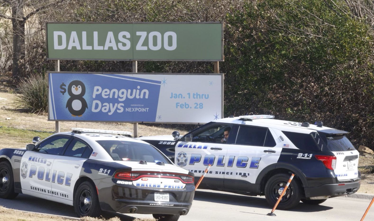 A pair of Dallas police vehicles and officers sit at an entrance at the Dallas Zoo on Jan....