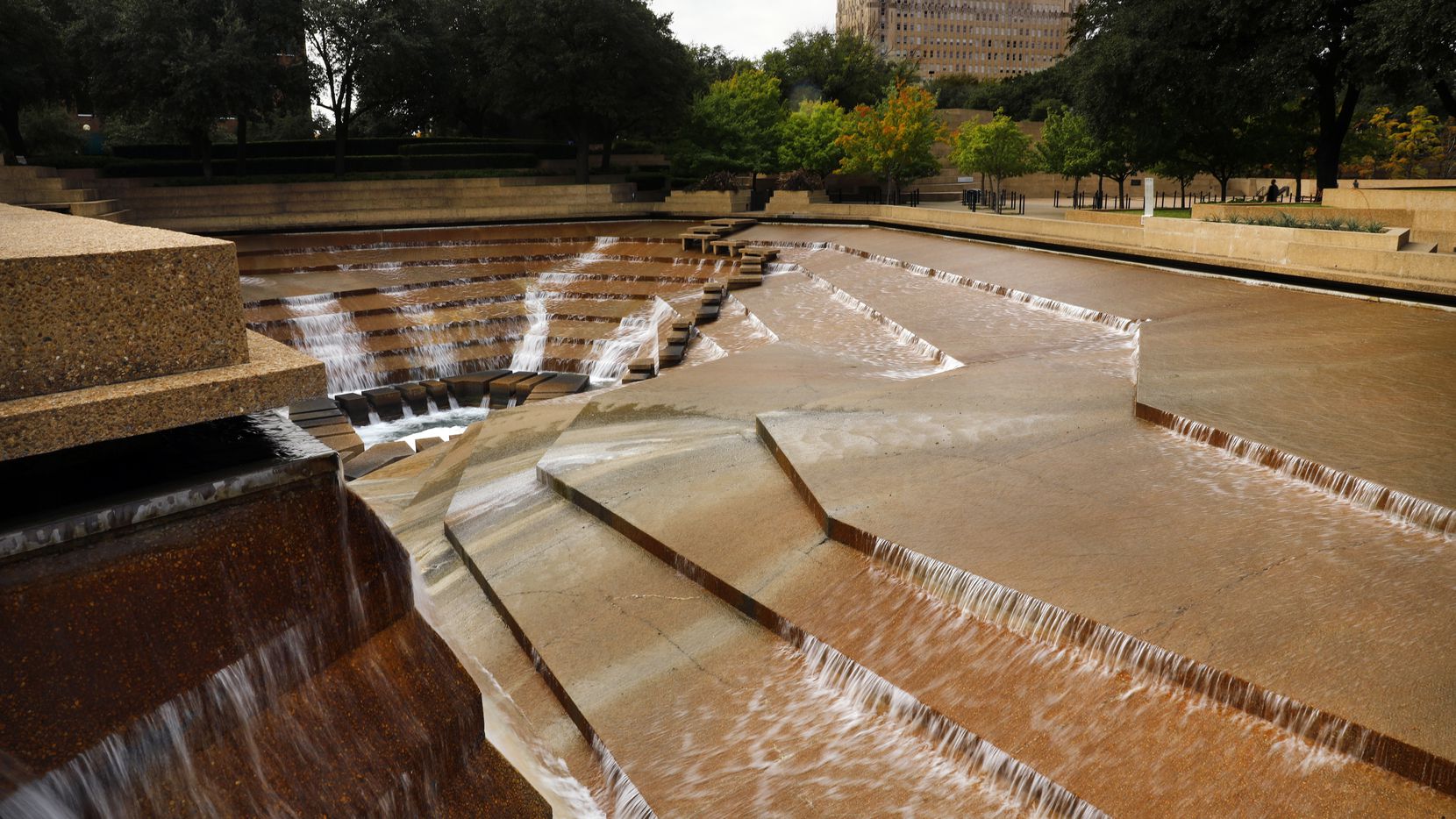 Bat At Fort Worth Water Gardens Tests Positive For Rabies Health