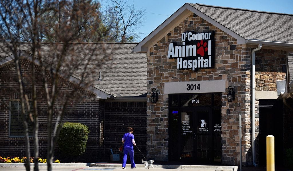 This is the front of the O'Connor Animal Hospital in Irving, where a woman was mauled to...