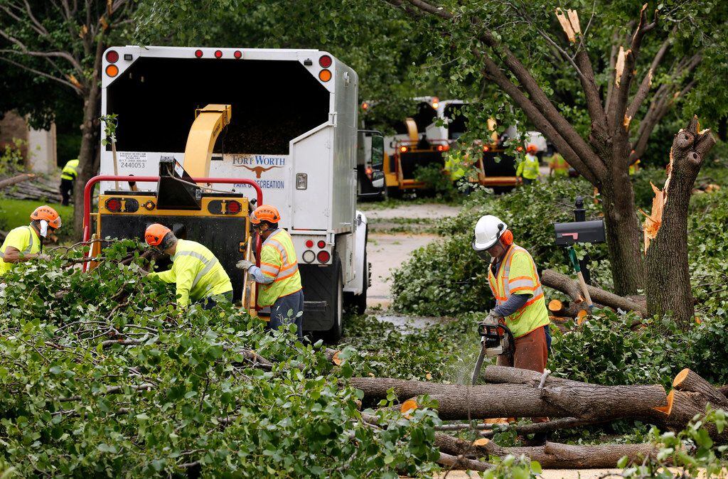 Fort Worth Park and Recreation crews clean up downed Bradford pears trees on Pendleton Dr....