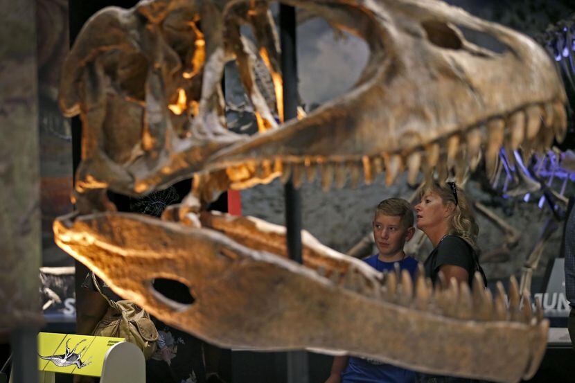 Dawn Dwyer (der.) y su hijo Jax, de 12 años, miran de cerca a un tiranosaurio, parte de la...