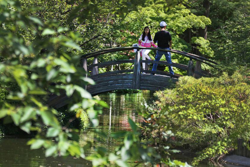 El Festival del Jardín Japonés vuelve al Jardín Botánico de Fort Worth este año
