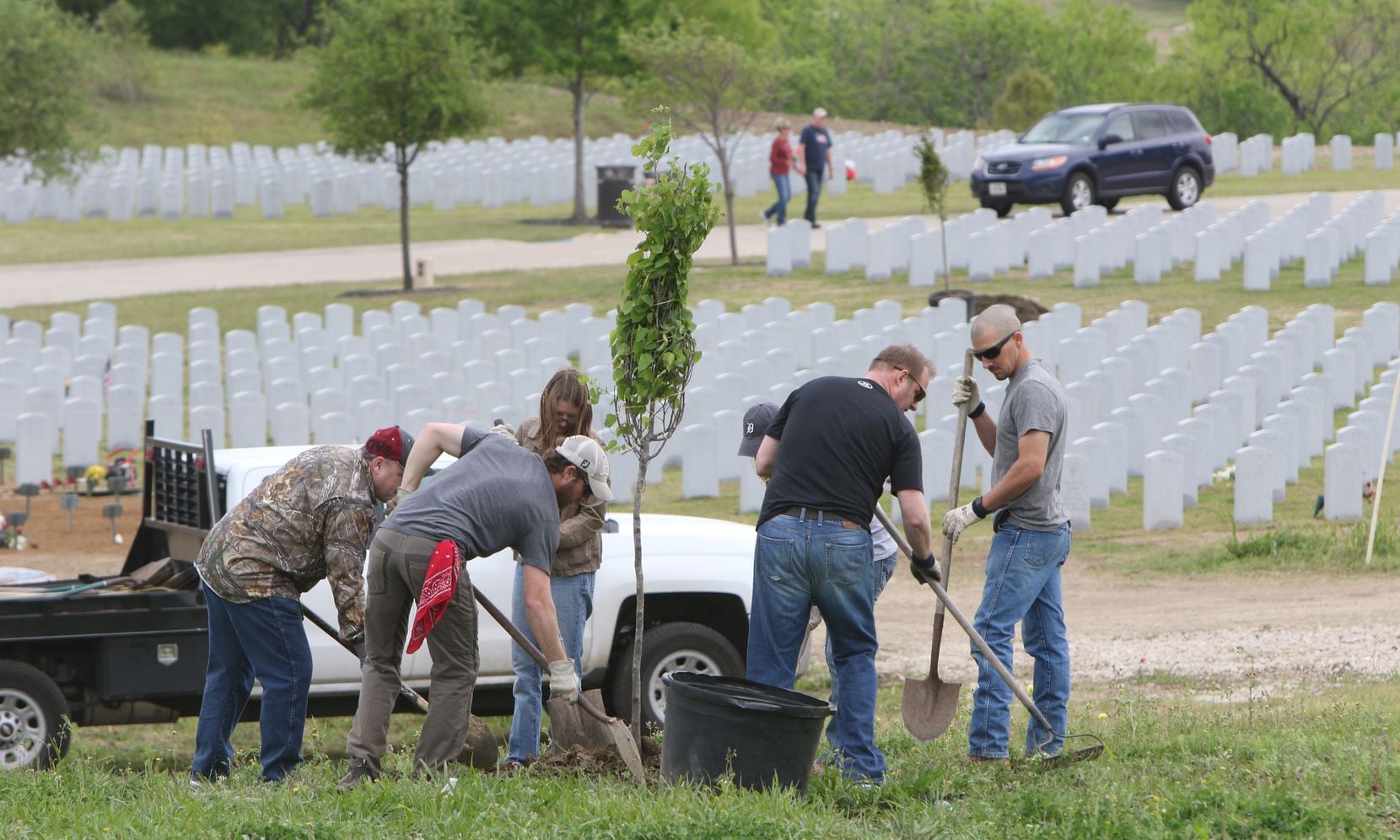 Volunteers work to plant a tree as part of a community growth program, which attracted volunteers from area organizations and companies to plant trees and clean grave markers. Texas Trees Foundation and TXU Energy sponsored the event, which was held at the DFW National Cemetery.